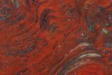 Polished Stromatolite (Collenia) - Minnesota #126086-1